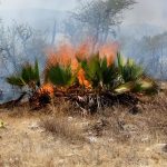 Mi defensa revisará información que entregó EU a FGR: Cabeza de Vaca