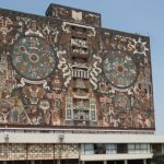 Hallan en ballenas un respiro contra el cambio climático