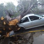 Encabezan AMLO y gobernador Murat la mañanera en Huatulco