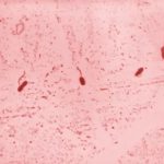 “La primera obligación de un gobierno es proporcionarle seguridad a los ciudadanos”: Adán Augusto