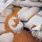 Presentan feria del tejate y del tamal.