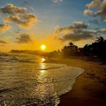 Exige justicia la Barra Oaxaqueña de Abogados para su agremiado Paco Villarreal