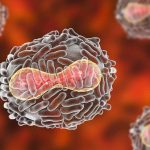 México ha destinado más que EU a causas y programas sociales: AMLO