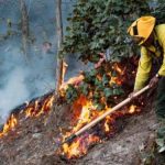 Pitt cree que Angelina pretende presionarlo