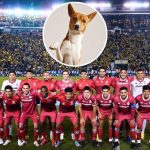 Moscú y Kiev intercambian cientos de prisioneros tras el mayor ataque ruso de misiles y drones