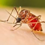 Concentran doce estados robo de camiones de carga