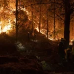 “La crisis Trump en la Unión Europea: cómo las amenazas del presidente estadounidense paralizaron un acuerdo comercial clave para Europa”