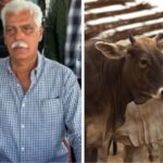 Rugir Sororas: Todo lo que necesitas saber del festival feminista del 8M