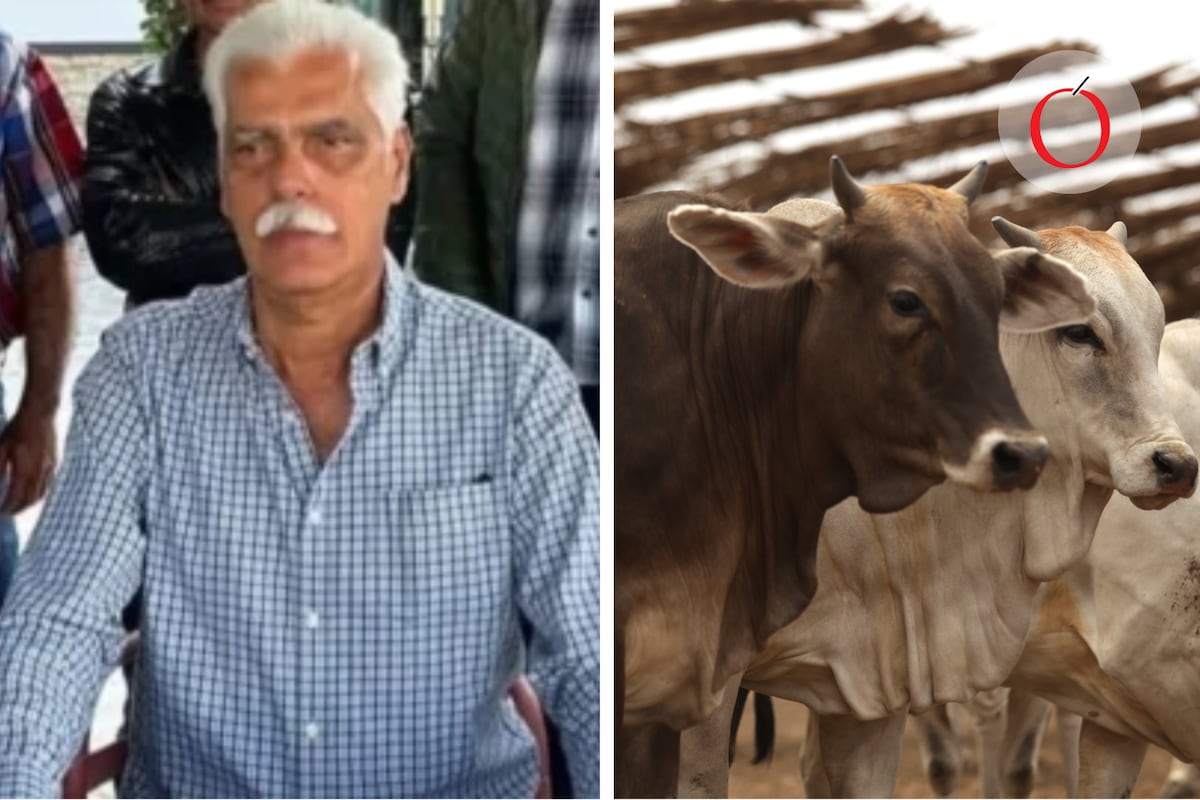 Líder ganadero de Colima es asesinado en un crimen que conmociona al sector